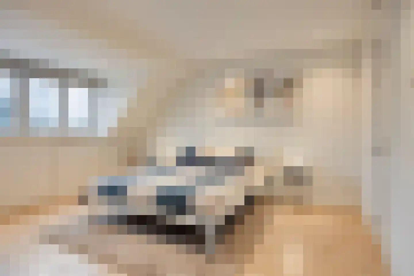 Lijster 3 Eijsden thumbnail 32