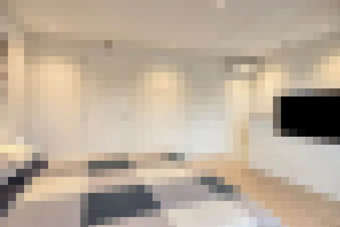 Lijster 3 Eijsden thumbnail 33
