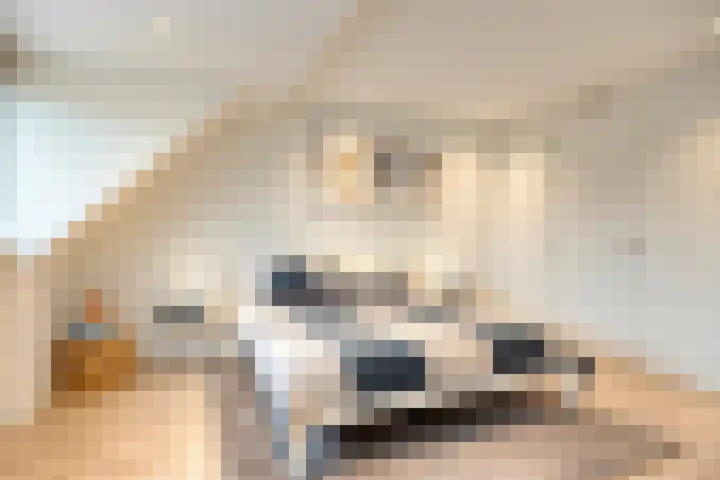 Lijster 3 Eijsden thumbnail 34