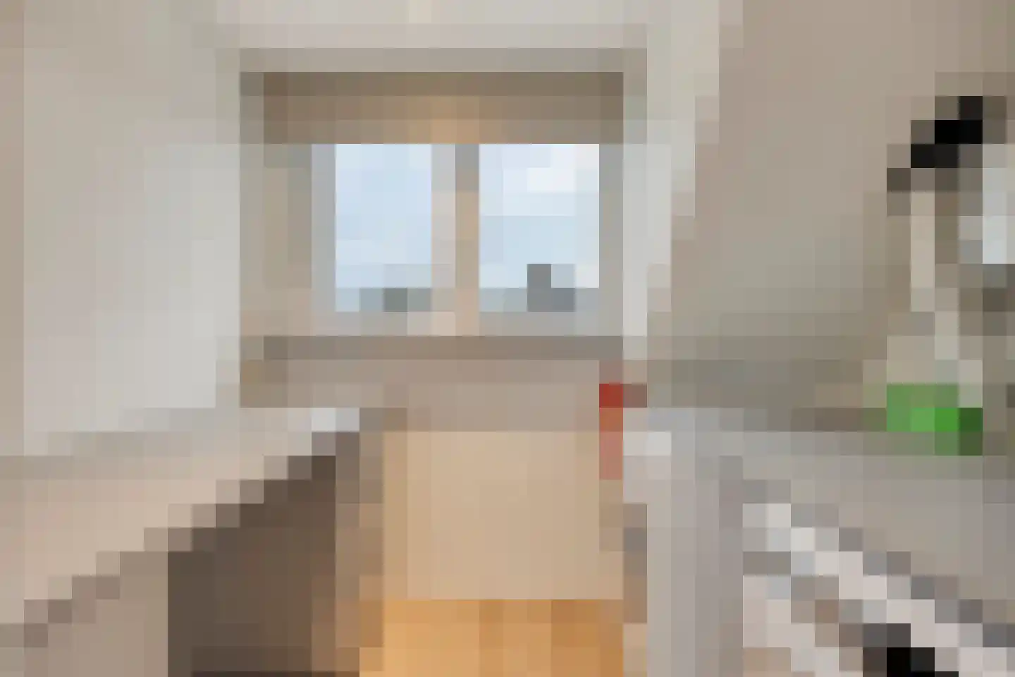 Lijster 3 Eijsden thumbnail 37