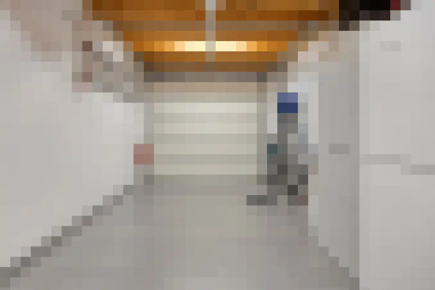 Lijster 3 Eijsden thumbnail 39