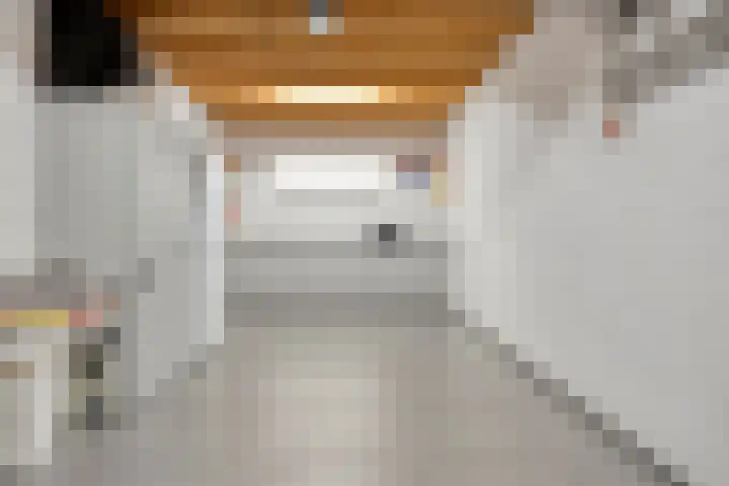 Lijster 3 Eijsden thumbnail 40