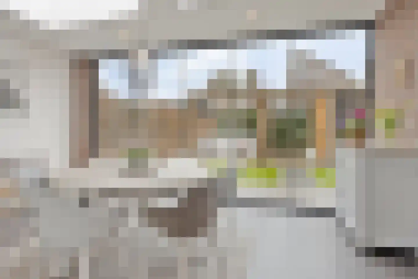 Lijster 3 Eijsden thumbnail 41