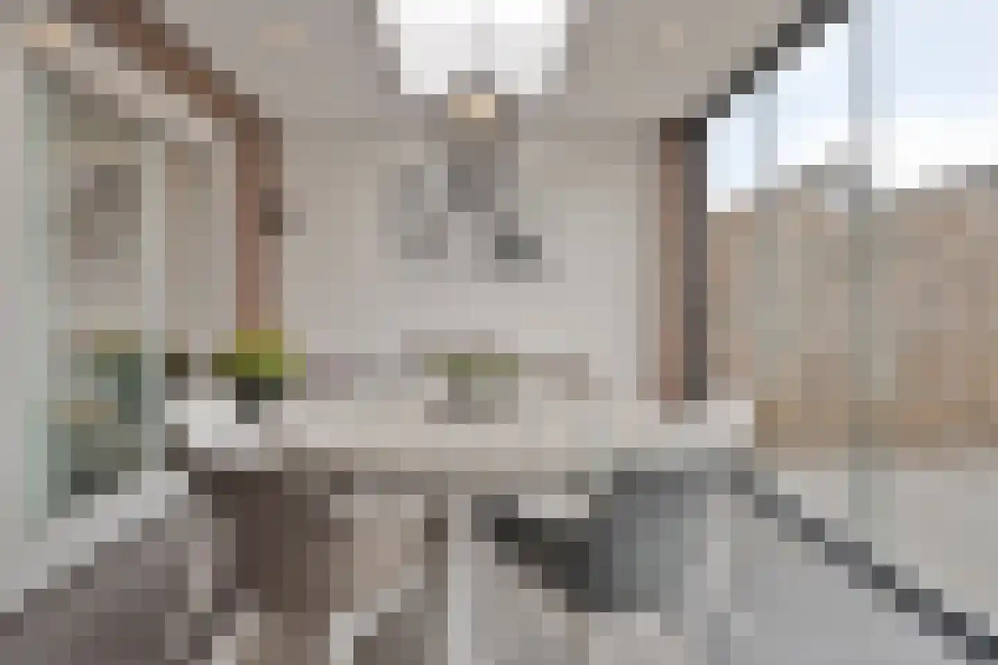 Lijster 3 Eijsden thumbnail 42