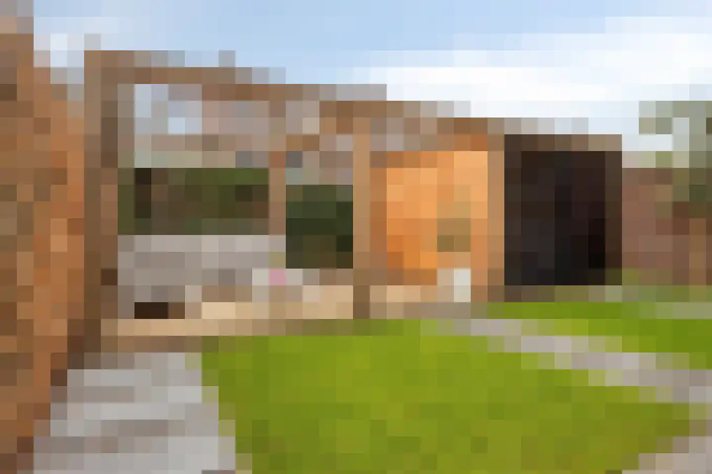 Lijster 3 Eijsden thumbnail 43