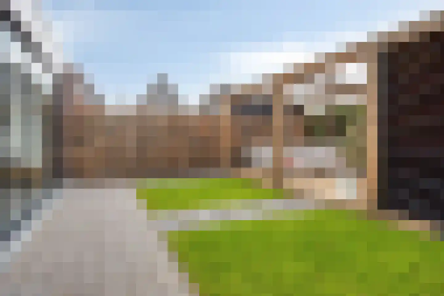 Lijster 3 Eijsden thumbnail 45