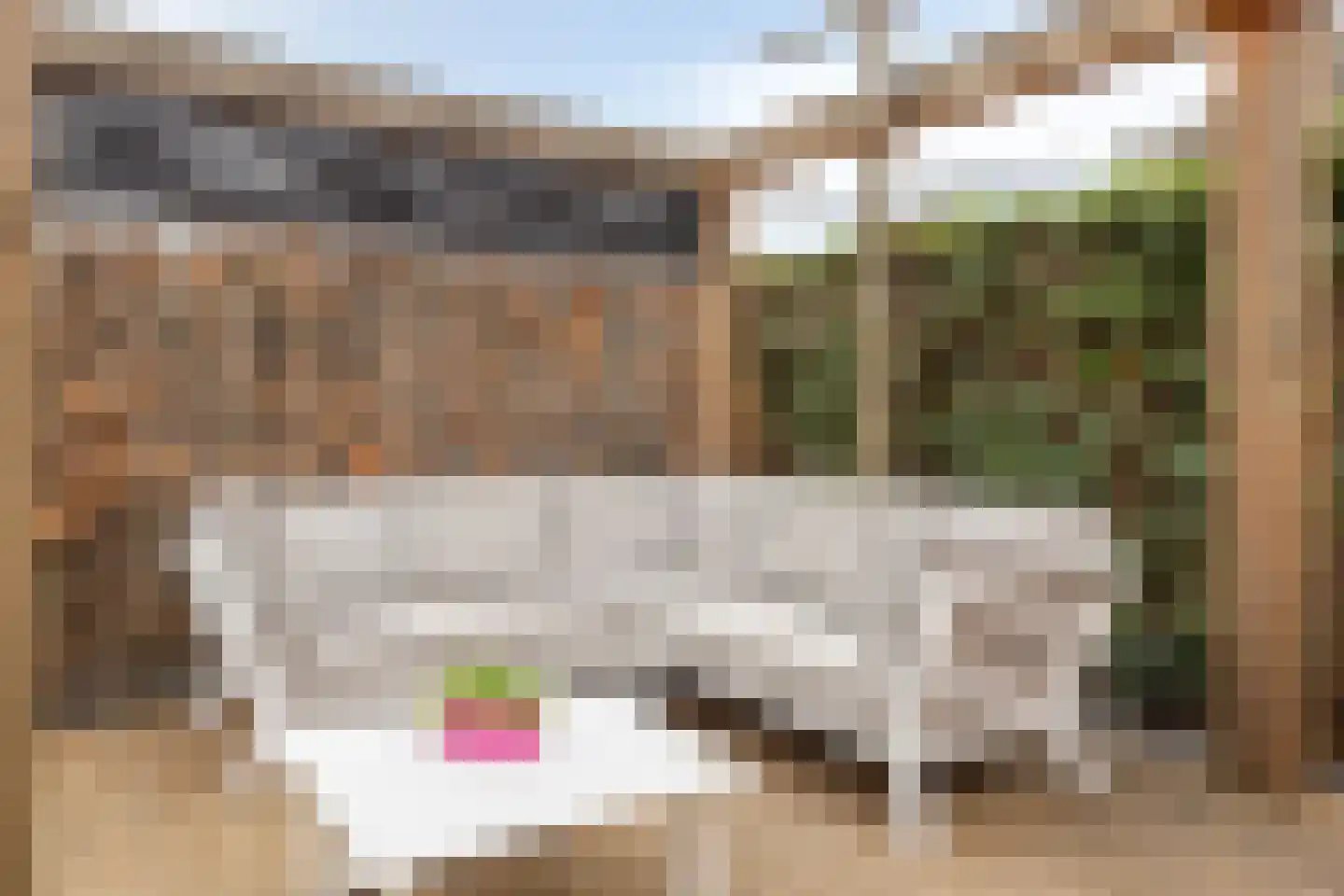 Lijster 3 Eijsden thumbnail 46
