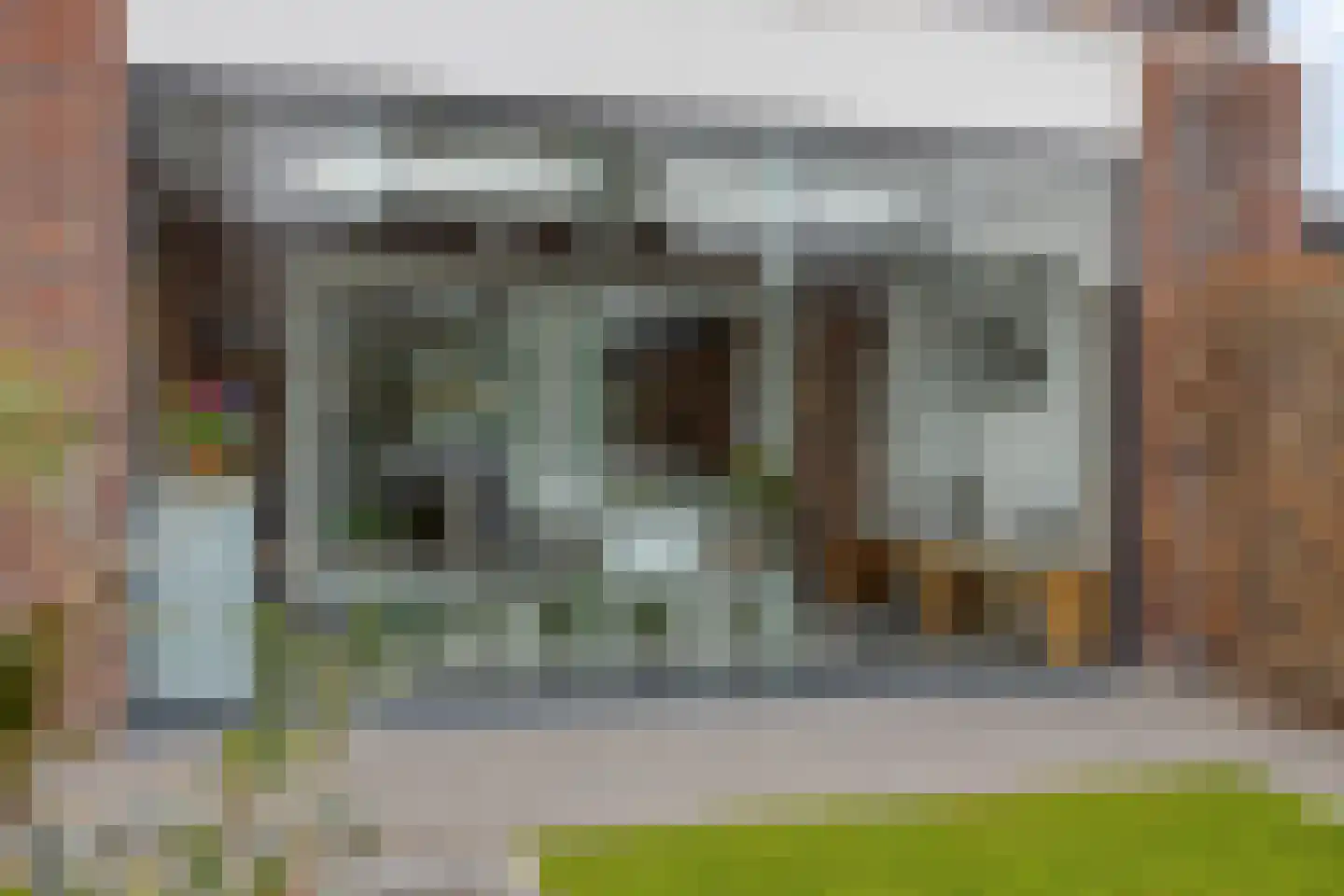 Lijster 3 Eijsden thumbnail 47