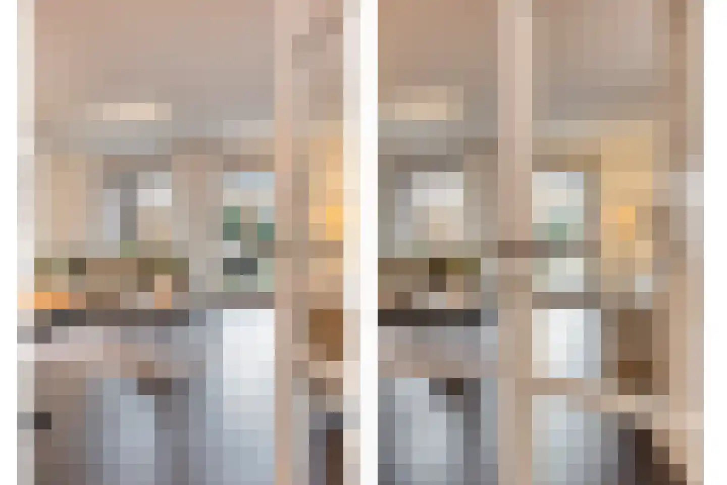 Lijster 3 Eijsden thumbnail 5