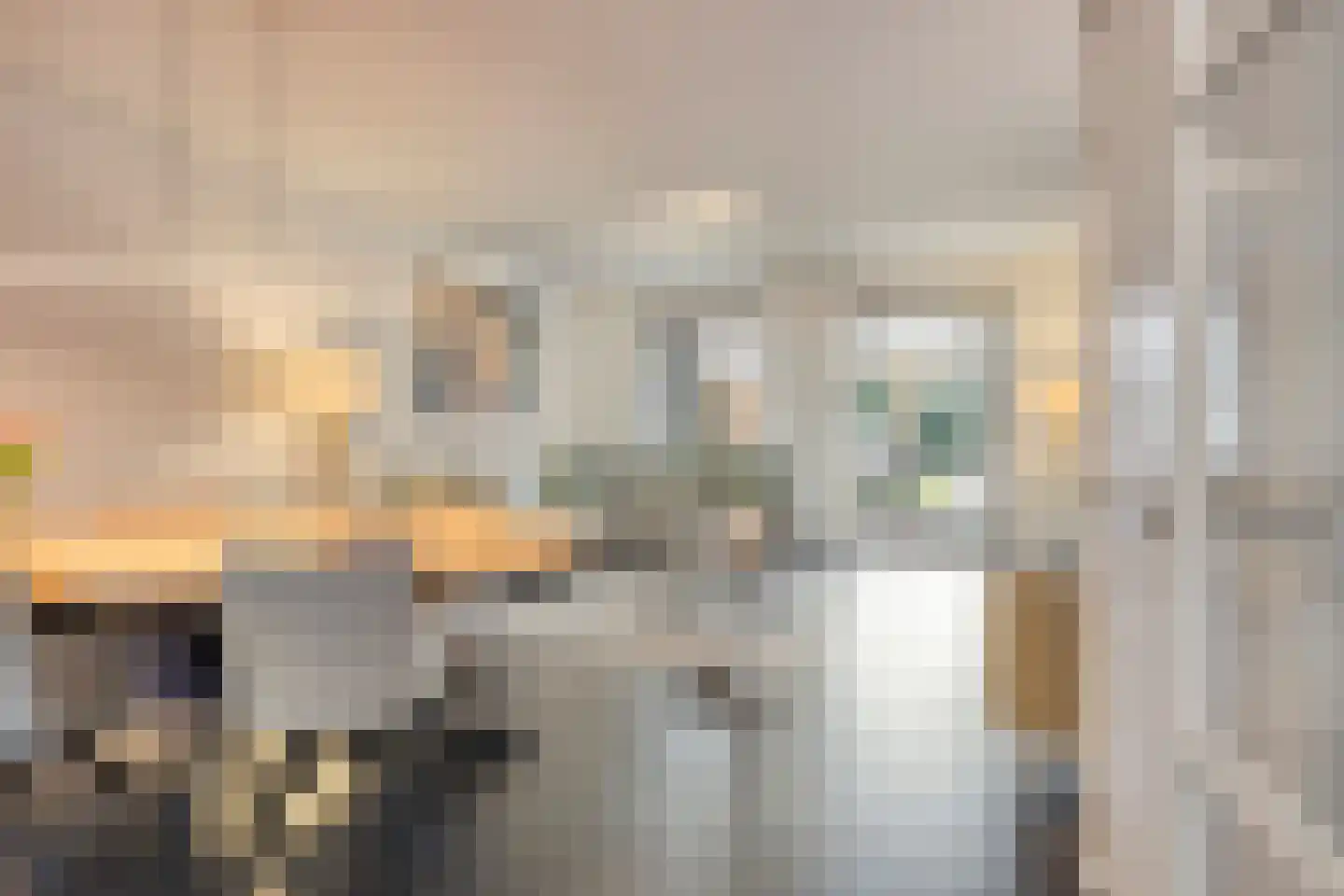 Lijster 3 Eijsden thumbnail 6