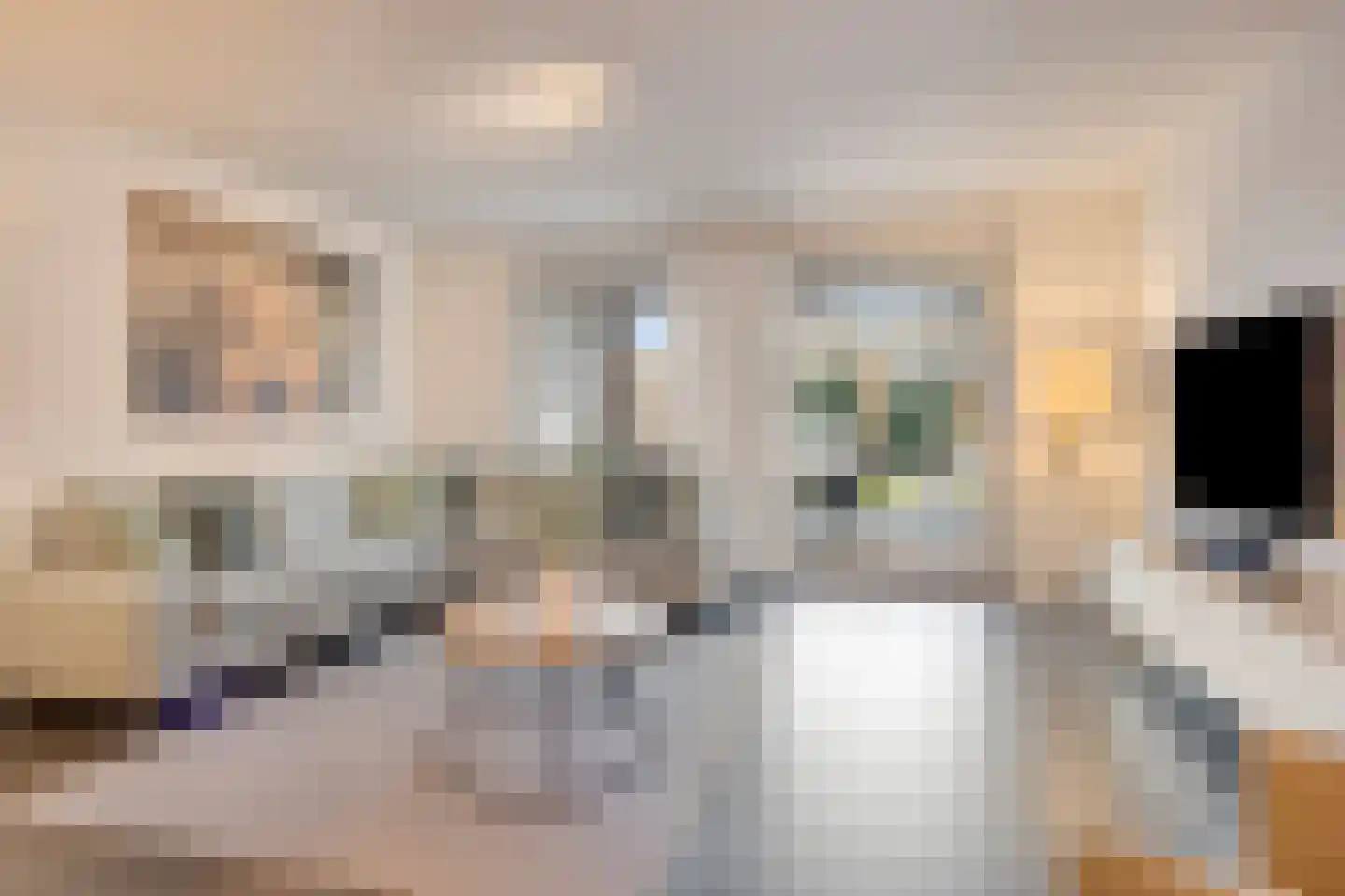Lijster 3 Eijsden thumbnail 8