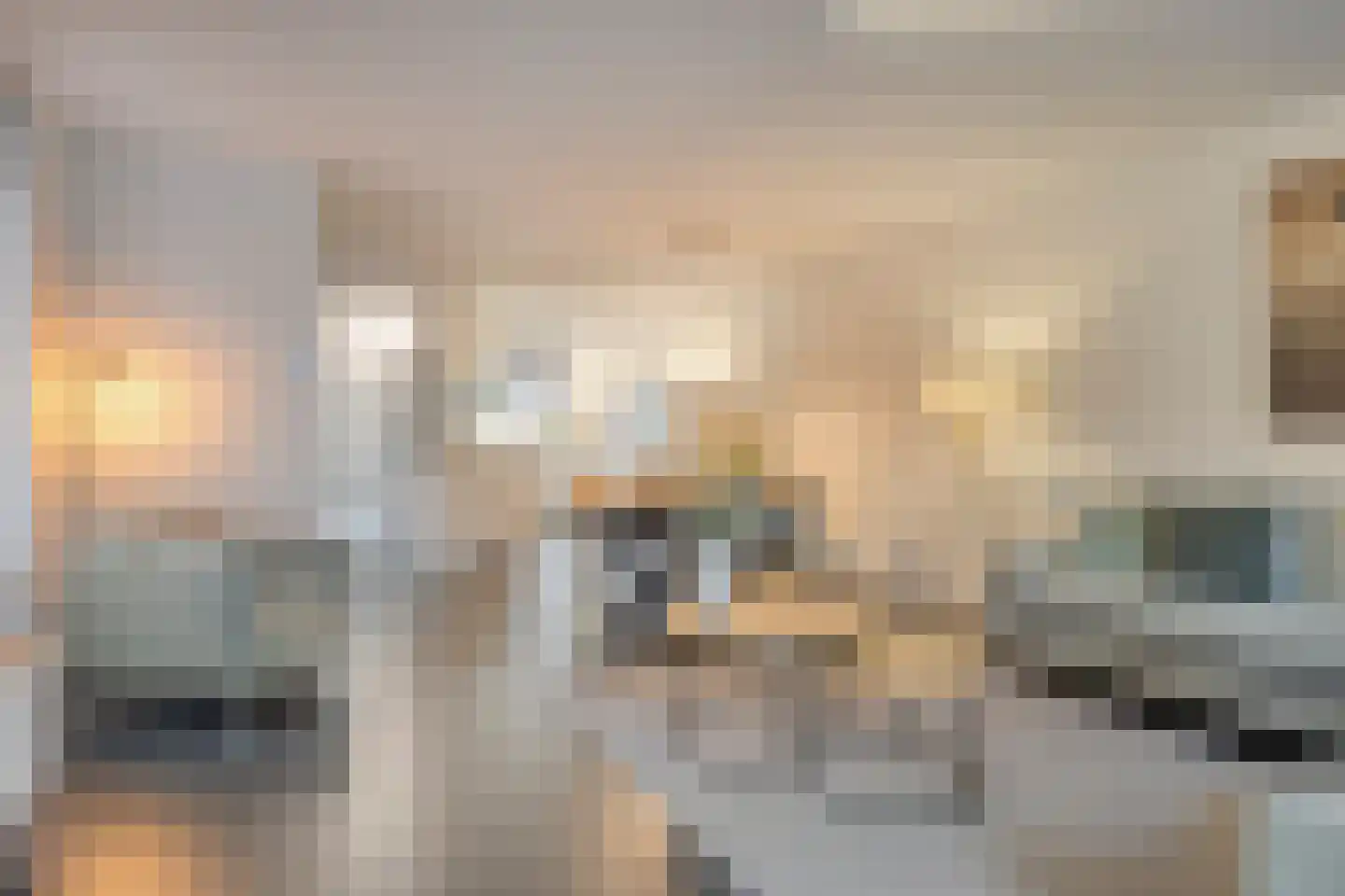 Lijster 3 Eijsden thumbnail 9