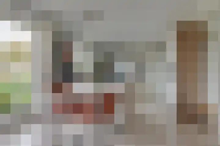 Lijster 3 Obdam thumbnail 14
