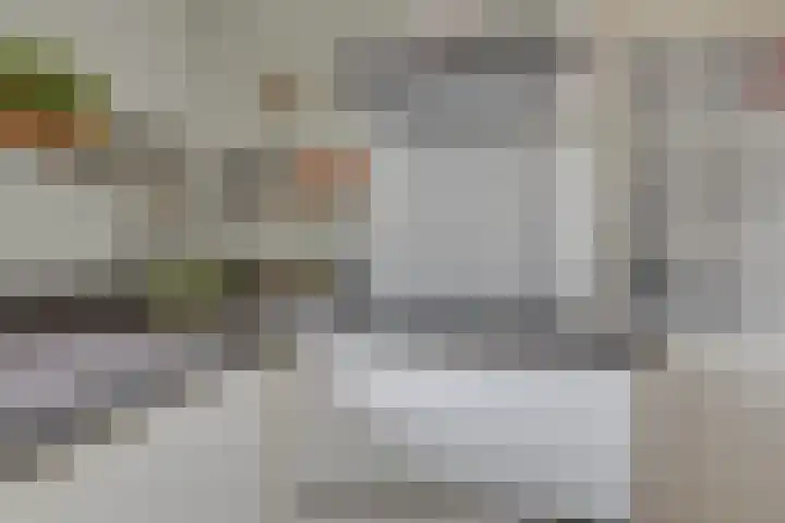 Lijster 3 Obdam thumbnail 16
