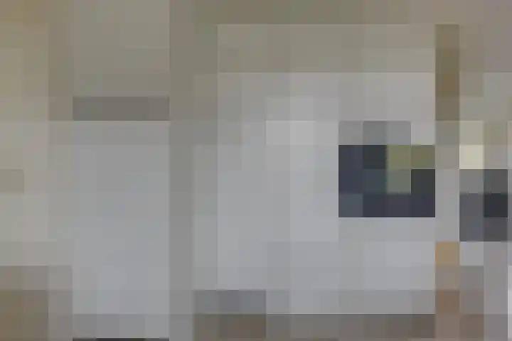 Lijster 3 Obdam thumbnail 17