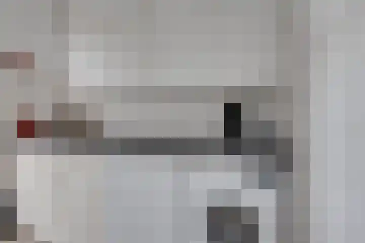 Lijster 3 Obdam thumbnail 18