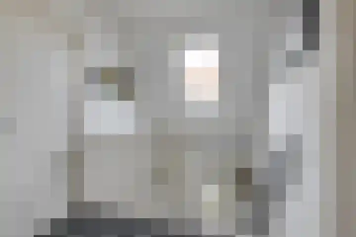 Lijster 3 Obdam thumbnail 23