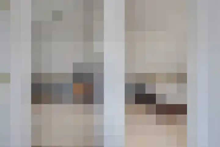 Lijster 3 Obdam thumbnail 24