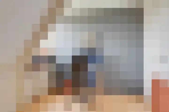 Lijster 3 Obdam thumbnail 27
