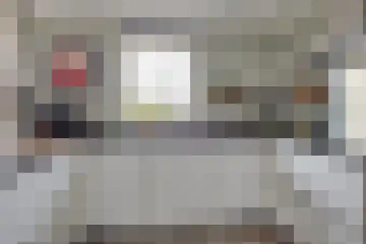 Lijster 3 Obdam foto 3