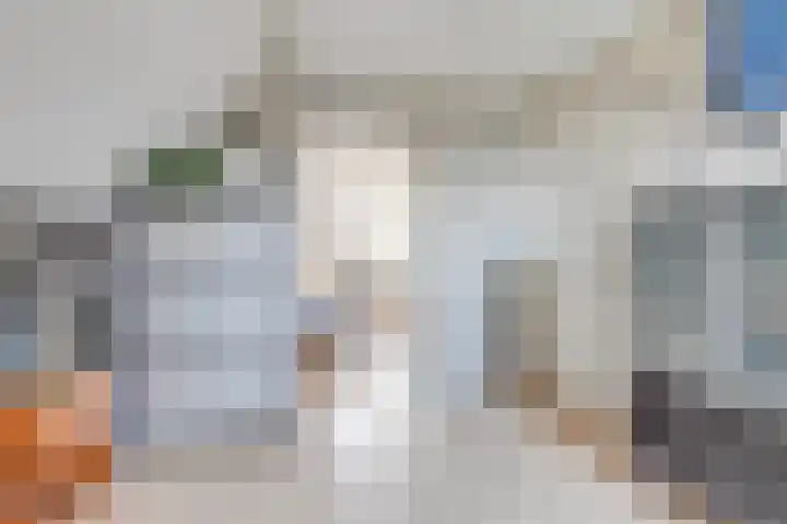 Lijster 3 Obdam thumbnail 34