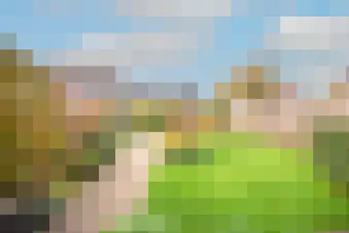 Lijster 3 Obdam thumbnail 43