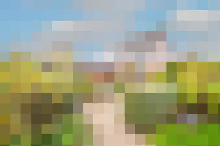 Lijster 3 Obdam thumbnail 45