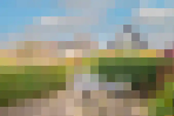 Lijster 3 Obdam thumbnail 46