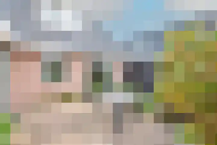 Lijster 3 Obdam thumbnail 49