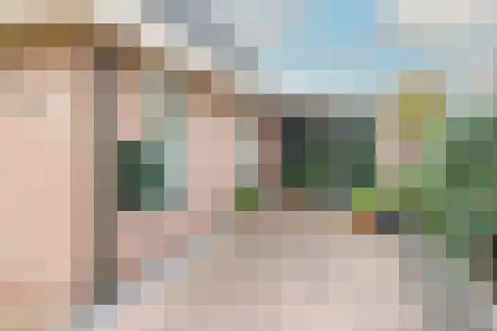 Lijster 3 Obdam thumbnail 5