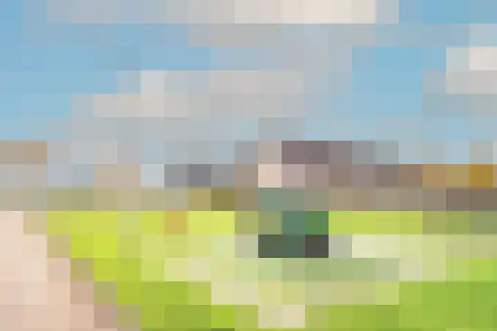 Lijster 3 Obdam thumbnail 53