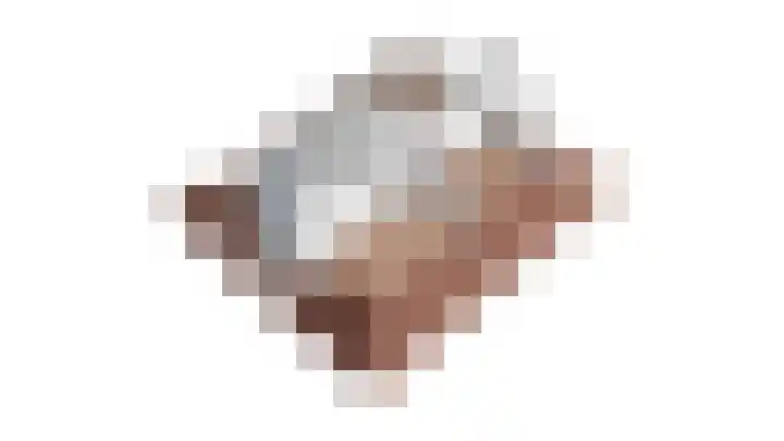 Lijster 3 Obdam thumbnail 58