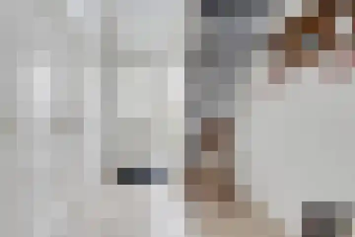 Lijster 3 Obdam thumbnail 7