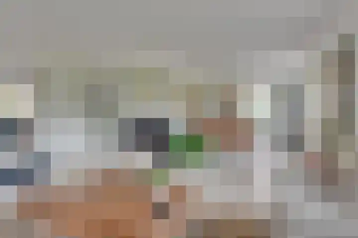 Lijster 3 Obdam thumbnail 9