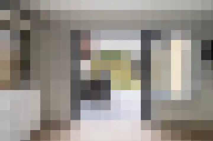 Lijster 30 Spanbroek thumbnail 10