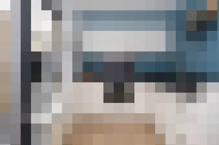 Lijster 30 Spanbroek thumbnail 11