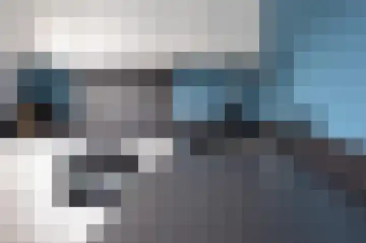 Lijster 30 Spanbroek thumbnail 13