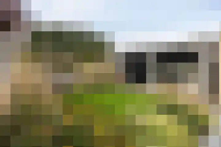 Lijster 30 Spanbroek thumbnail 38