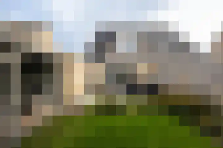 Lijster 30 Spanbroek thumbnail 39