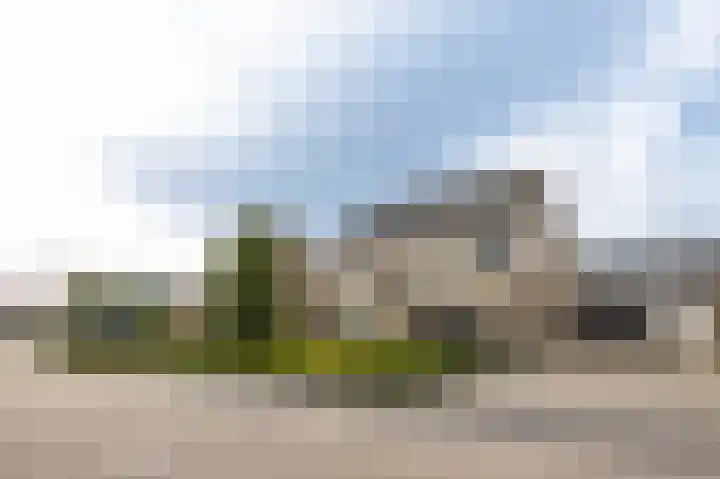Lijster 30 Spanbroek thumbnail 4