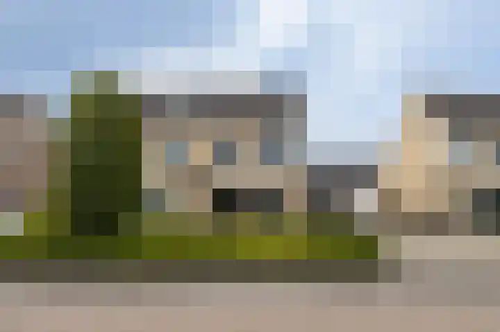 Lijster 30 Spanbroek thumbnail 42