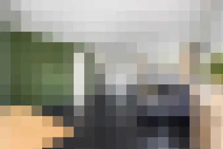 Lijster 38 Sprang-Capelle thumbnail 13