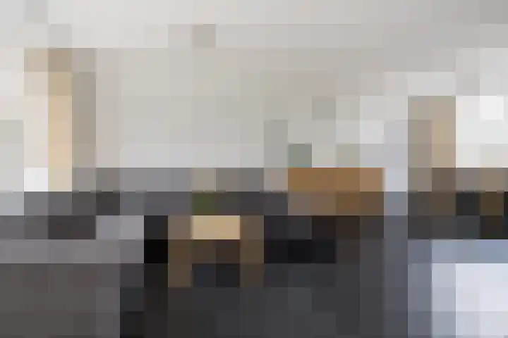Lijster 38 Sprang-Capelle thumbnail 15