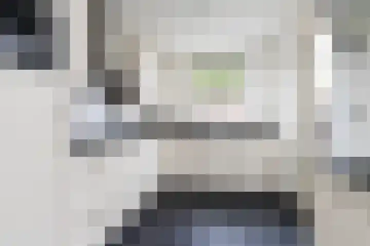 Lijster 38 Sprang-Capelle thumbnail 18
