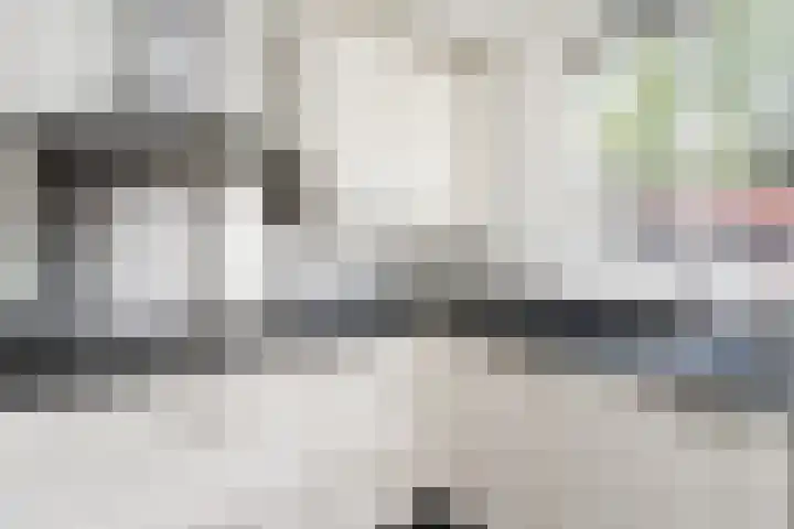 Lijster 38 Sprang-Capelle thumbnail 20