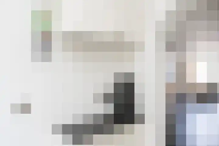 Lijster 38 Sprang-Capelle thumbnail 23