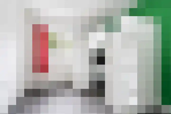 Lijster 38 Sprang-Capelle thumbnail 31