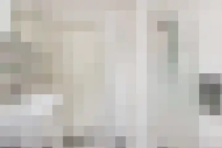 Lijster 38 Sprang-Capelle thumbnail 34
