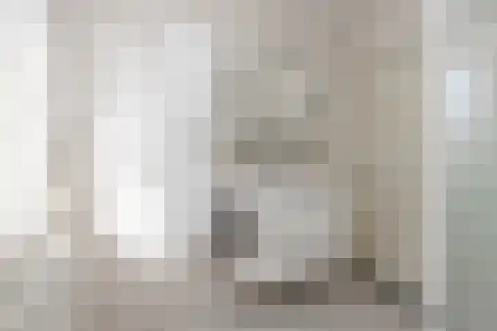 Lijster 38 Sprang-Capelle thumbnail 35