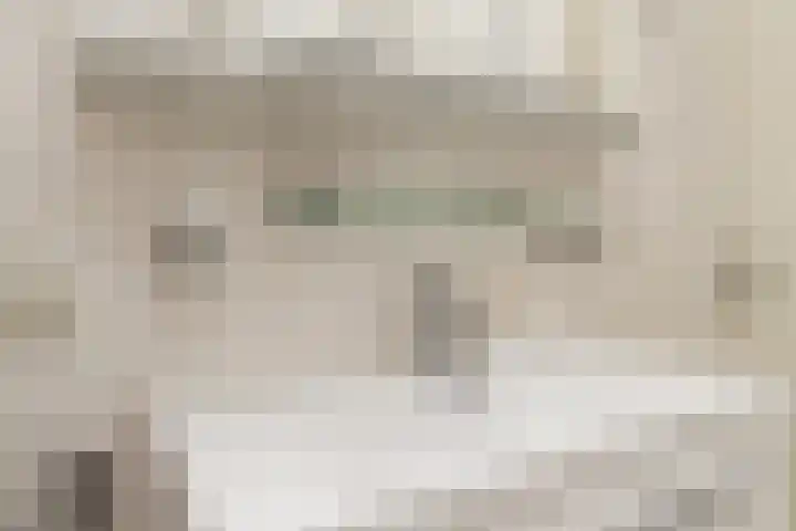 Lijster 38 Sprang-Capelle thumbnail 36